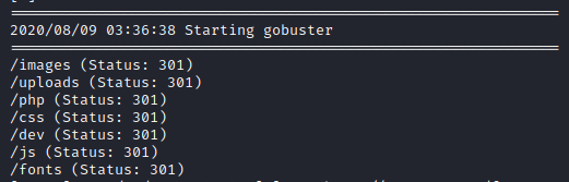 Gobuser Output