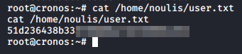 /home/noulis/user.txt
