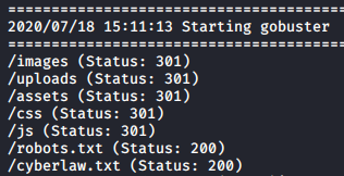 Gobuster Output